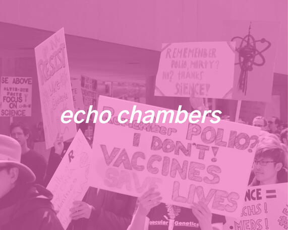 echo chambers